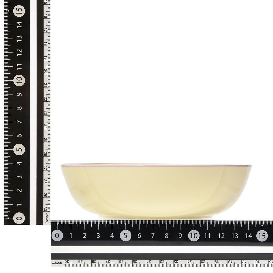 オルディカラフル かんたんごはん 食器3点セット パープル