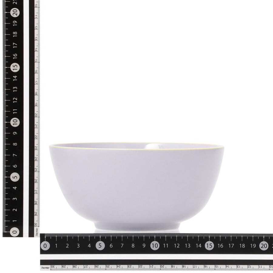 オルディカラフル てがるごはん 食器3点セット パープル