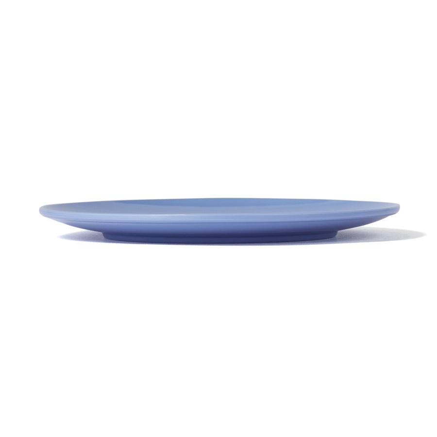 Picnic Plate Set of 4, Blue