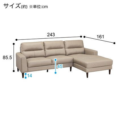 Couch sofa (SW01 LC GY)