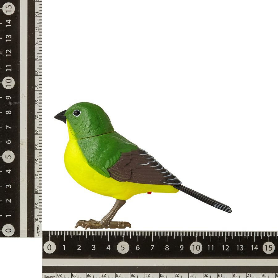 人感ミュージックバード クリップ グリーン