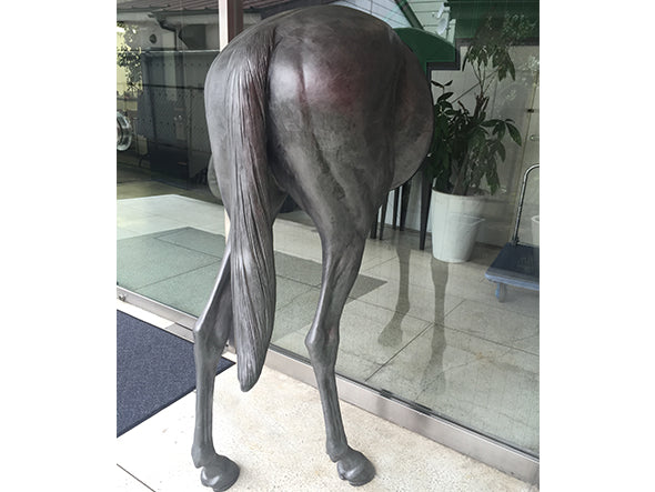 half-a-horse Back