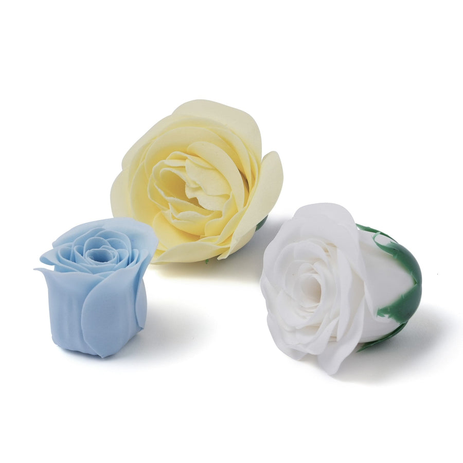 カドーシュシュ フィズ＆ペタル ラウンド ホワイト