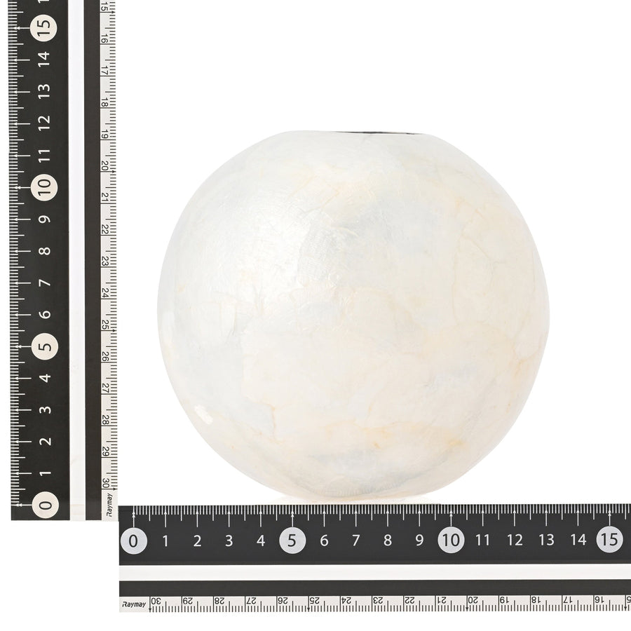 シェル フラワーベース 2 S ホワイト