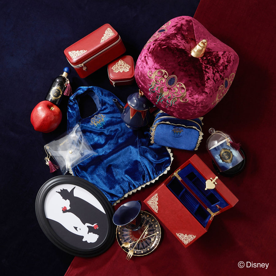 Disney VILLAINS NIGHT / Evil Queen / Travel Jewelry Box S
