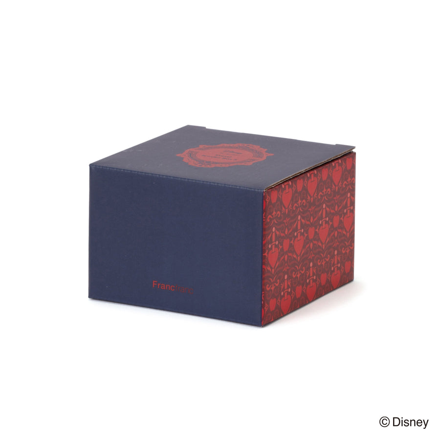 Disney VILLAINS NIGHT / Evil Queen / Travel Jewelry Box S