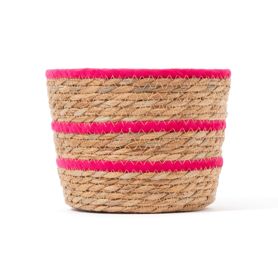 ボーダー バスケット