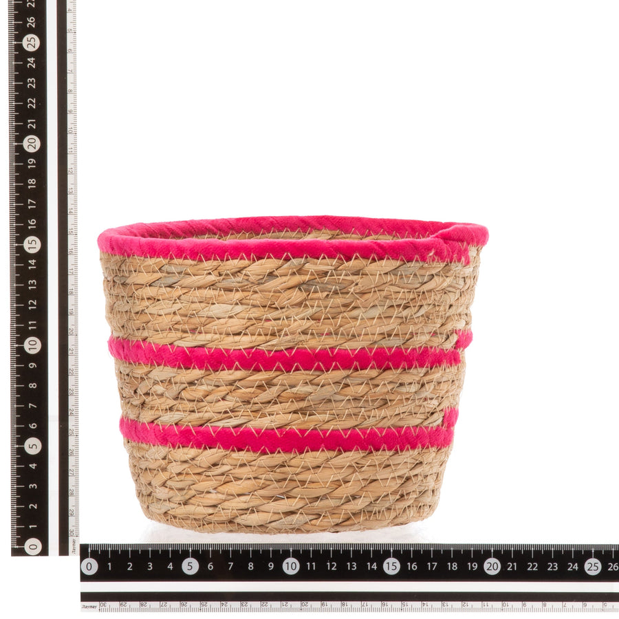 ボーダー バスケット