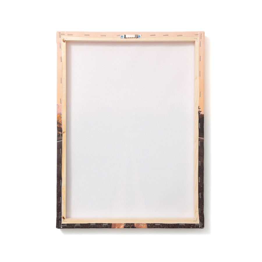 ネオノスタルジック アートボード ロード