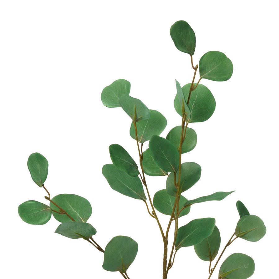 アートグリーン ポリアンセモスユーカリ グリーン