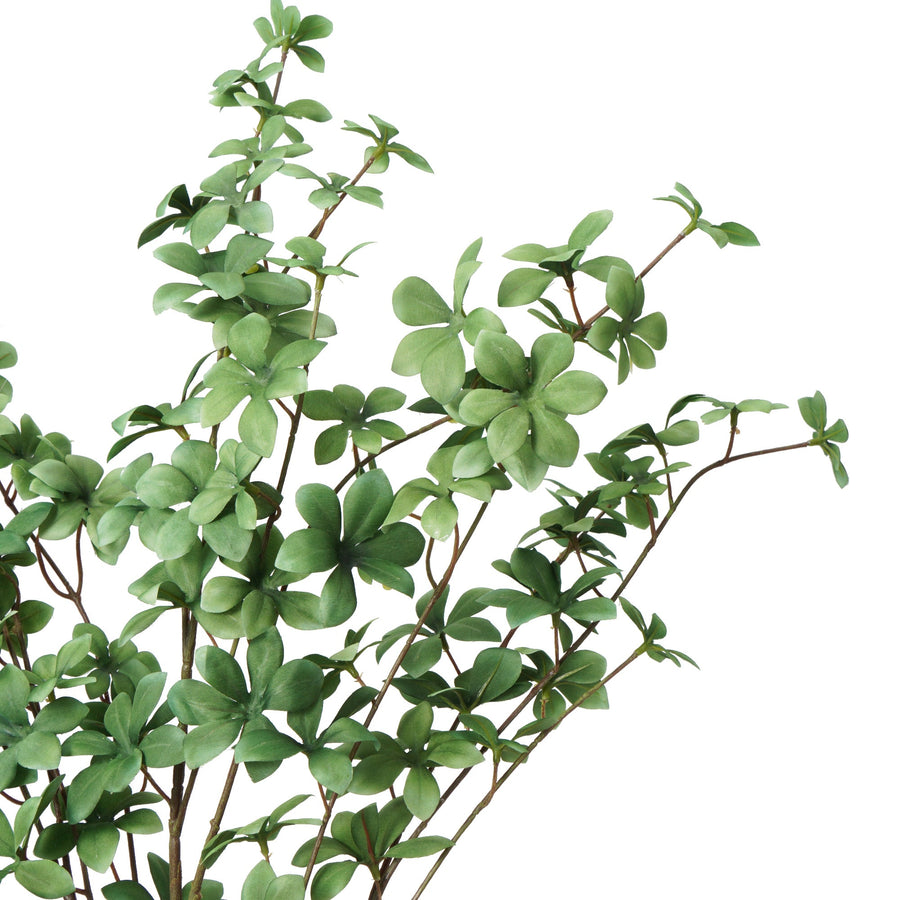 アートグリーン ドウダンツツジ グリーン