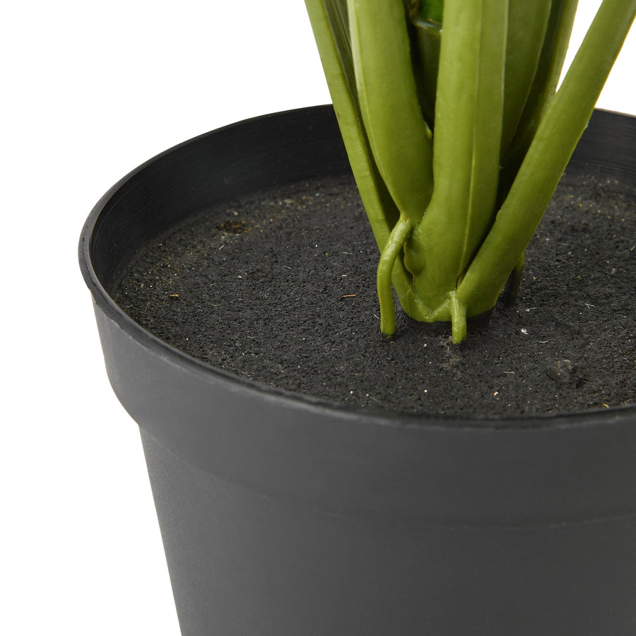 アートグリーン モンステラポット L