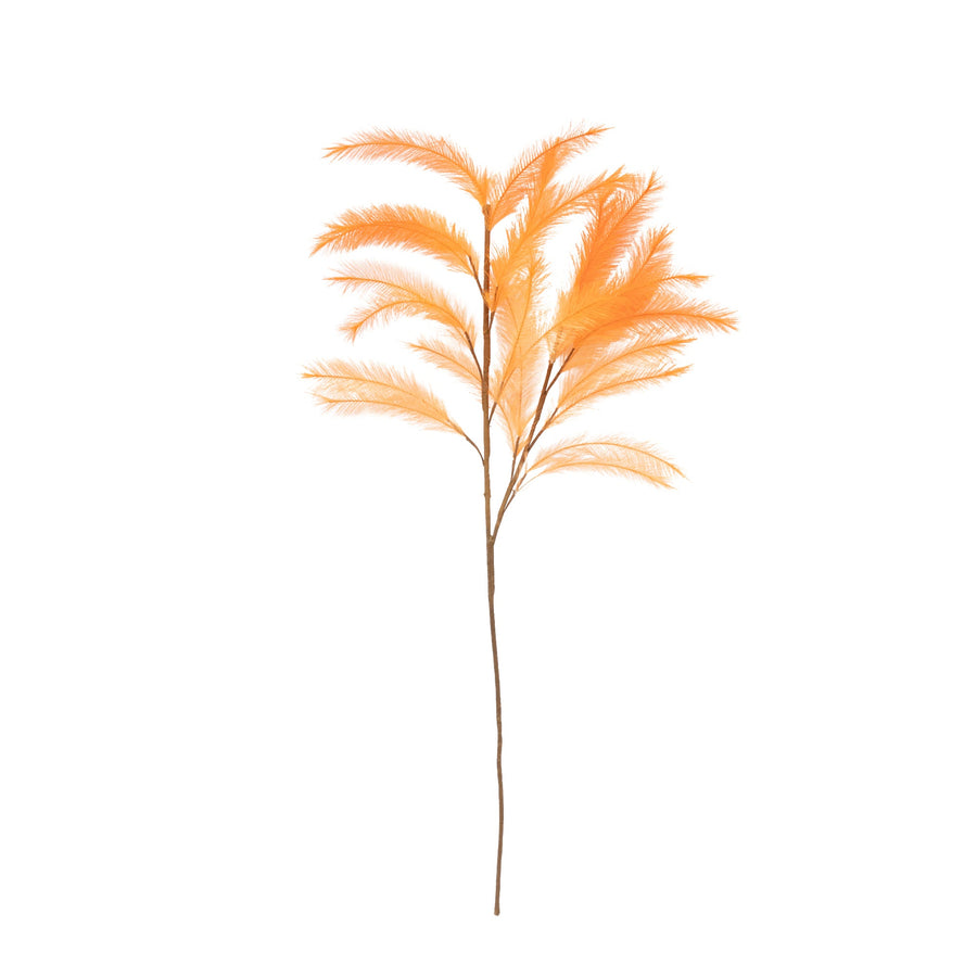 アートプランツ パンパス オレンジ