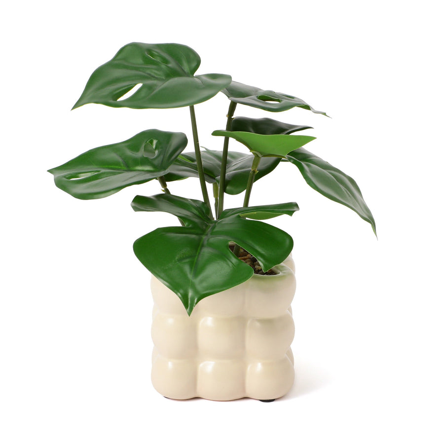 ポット付きアートグリーン モンステラ