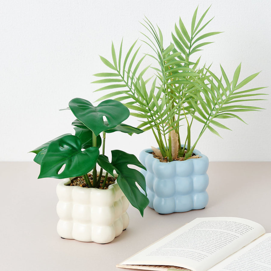 ポット付きアートグリーン モンステラ