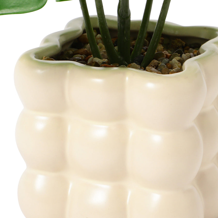 ポット付きアートグリーン モンステラ