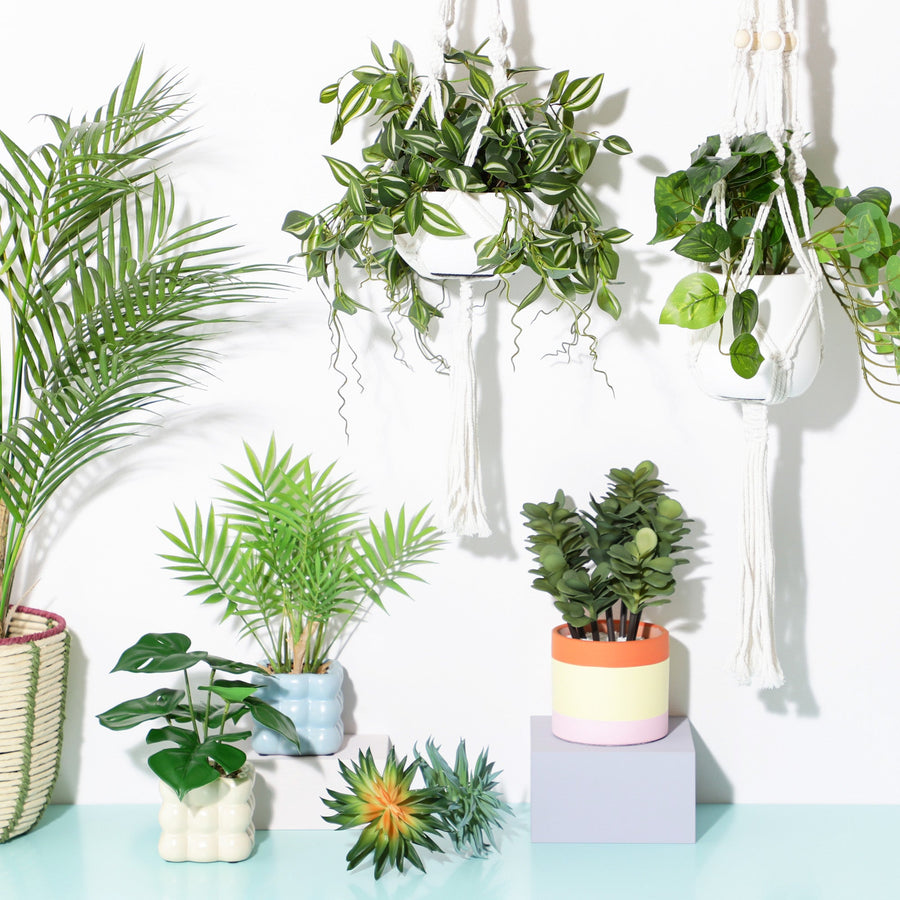 ポット付きアートグリーン サキュレント