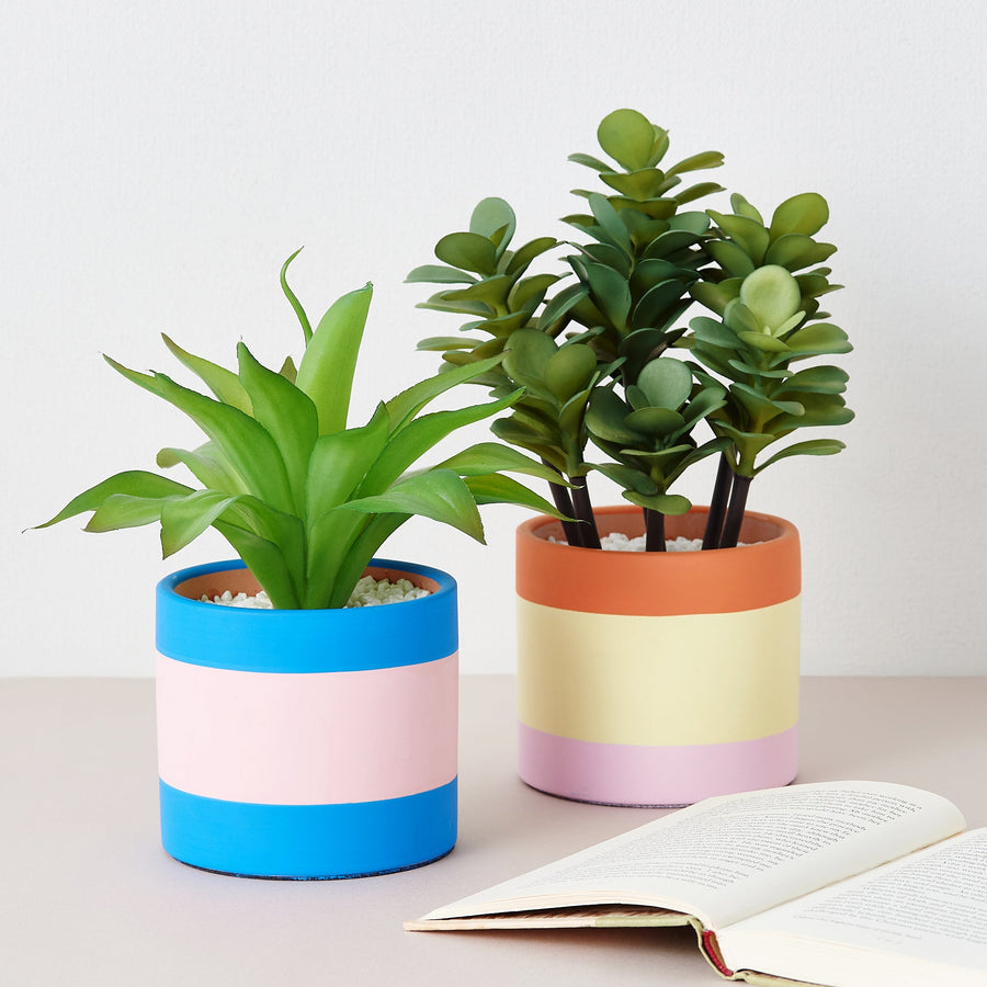 ポット付きアートグリーン サキュレント