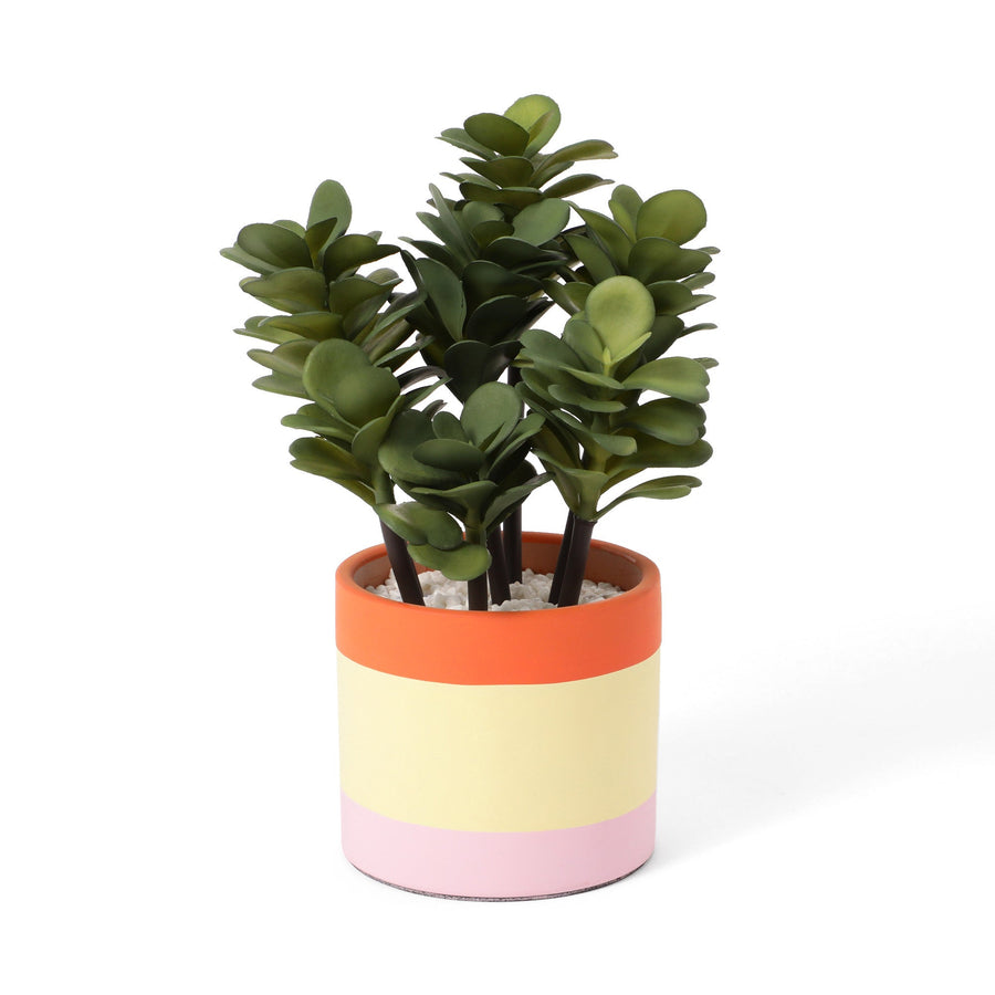 ポット付きアートグリーン サキュレント