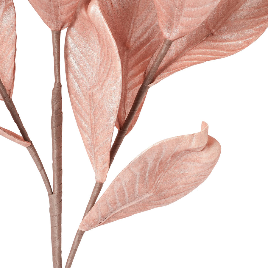 アートプランツ シャイニーリーフ コーラル