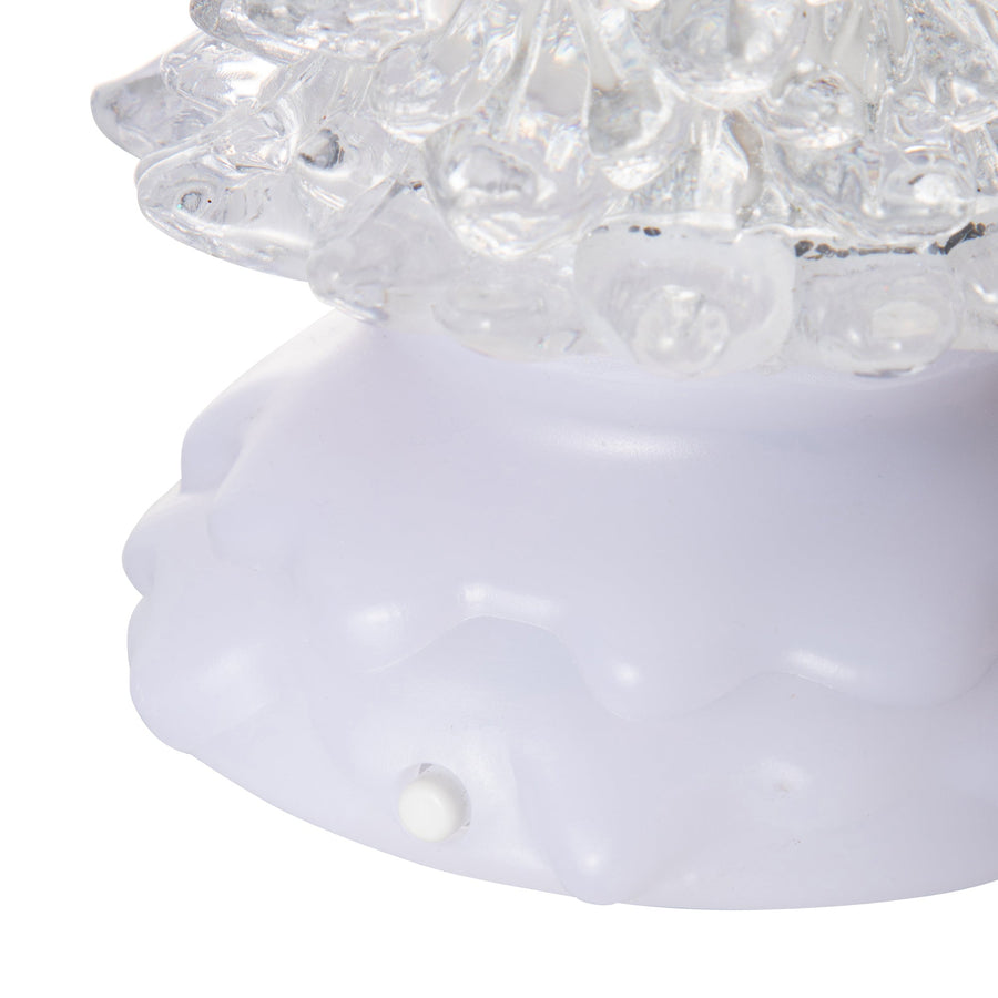 ウォーターツリー RAINBOW＆WARM S