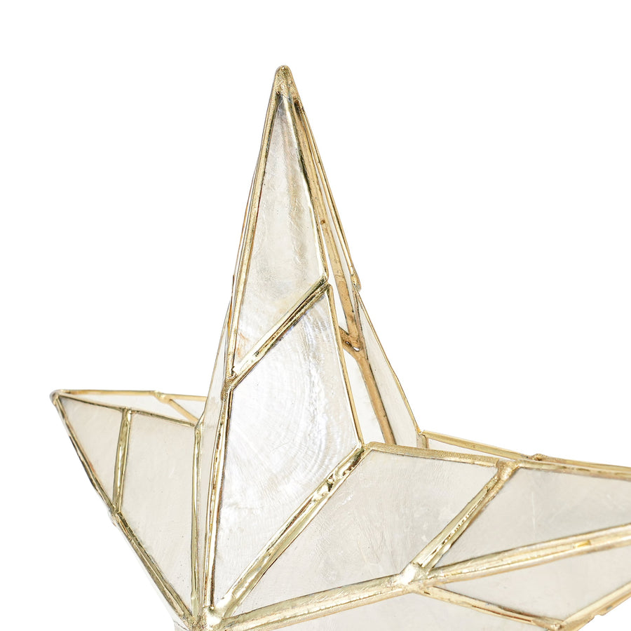 ツリートップ カピススター M クリア