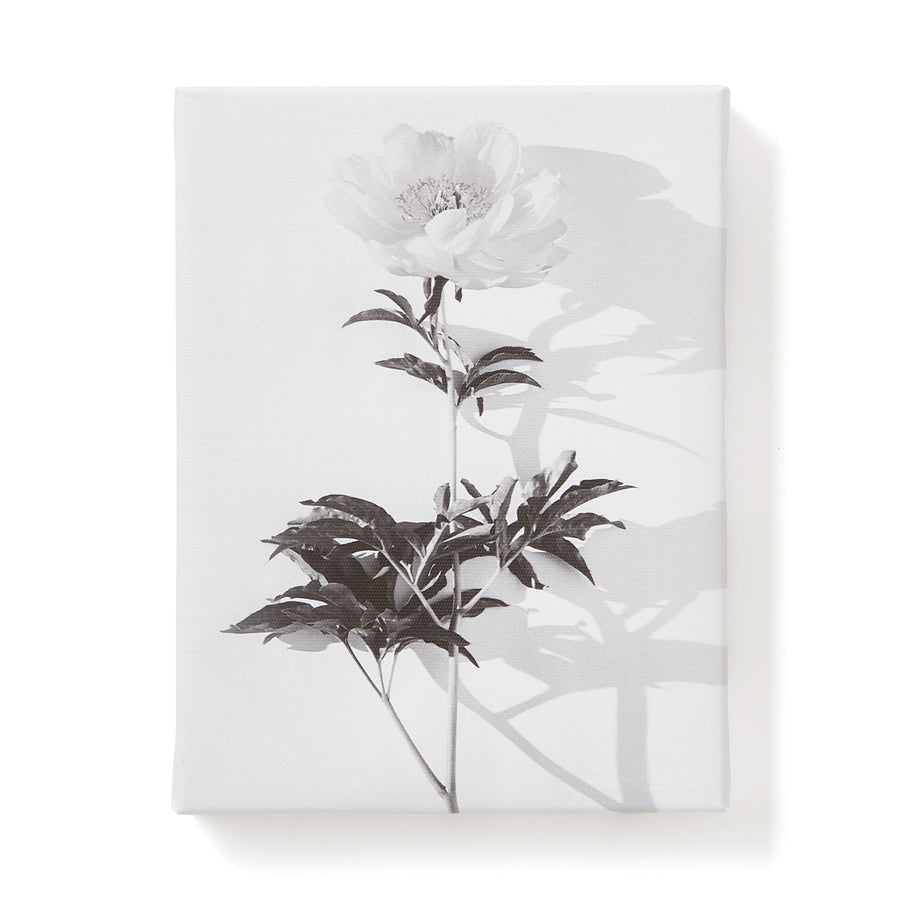 Monochrome Art Board Set of 5 Flowers