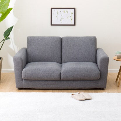 Compact and relaxing sofa bed (Forward GY)