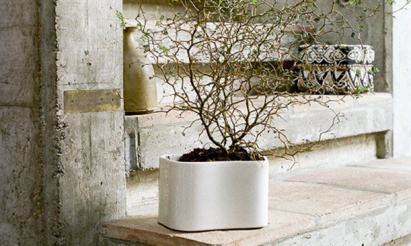 RIIHITIE PLANT POT S Type A