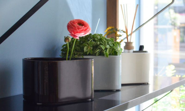 RIIHITIE PLANT POT S Type B