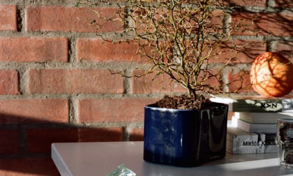 RIIHITIE PLANT POT S Type B