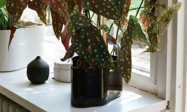 RIIHITIE PLANT POT S Type B