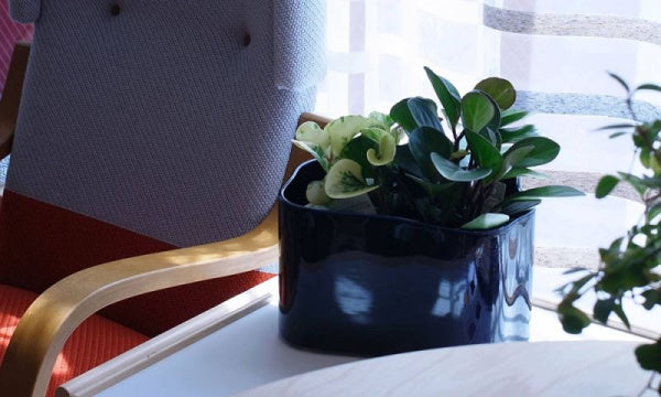 RIIHITIE PLANT POT S Type B