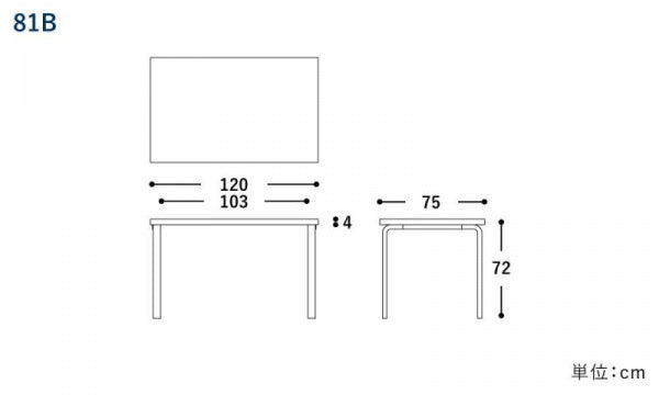 TABLE 81B W120 Black Linoleum