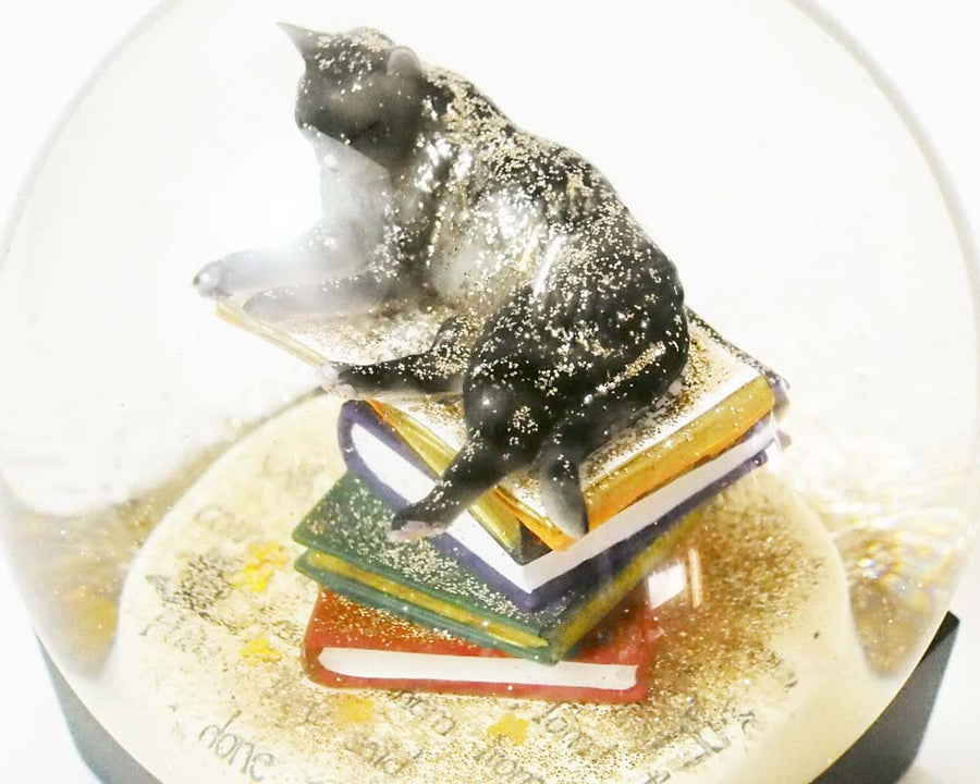Snow Dome Cat on Books クールスノーグローブス