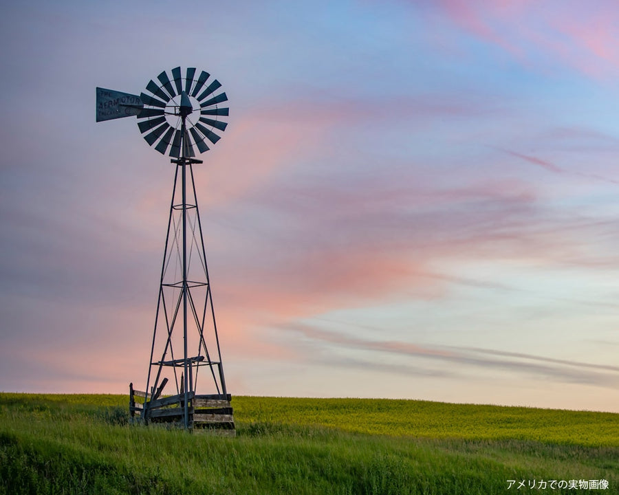 LITTLE WINDMILL Little Windmill