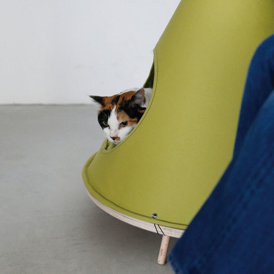 Pet Tent House