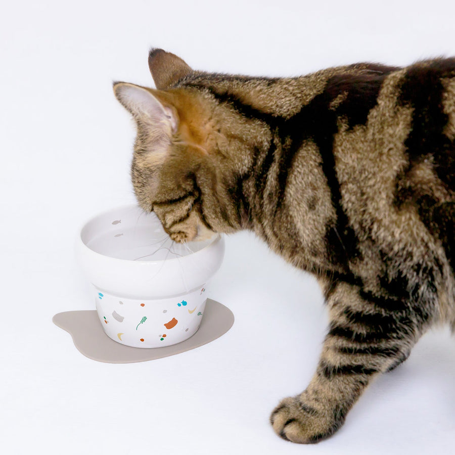 Nyanpre Bowl