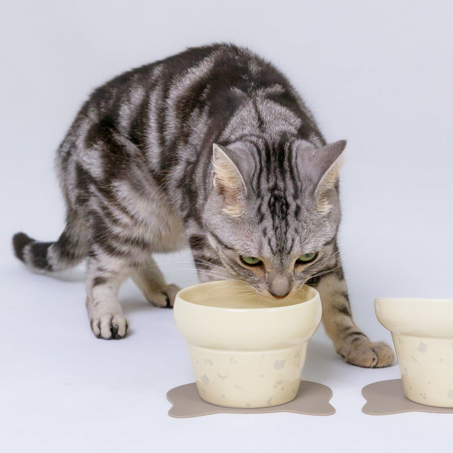 Nyanpre Bowl