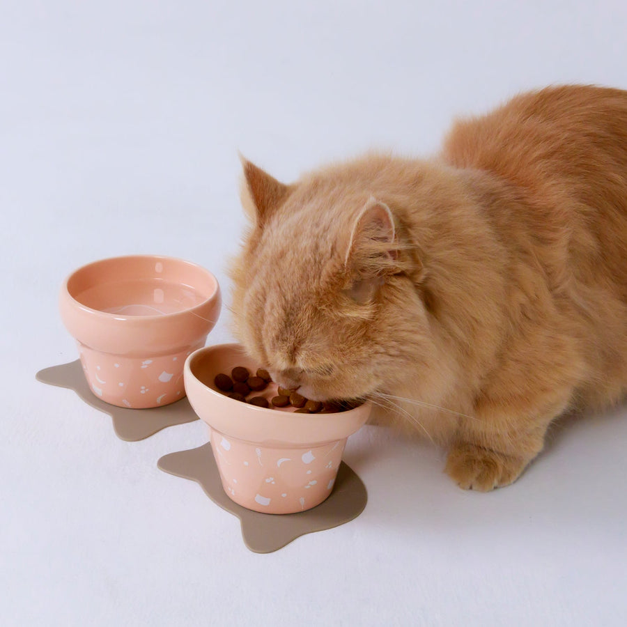 Nyanpretol