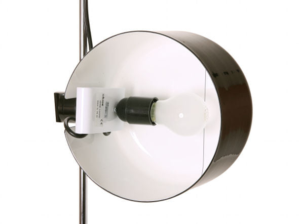 Coupe 2202 TABLE LAMP