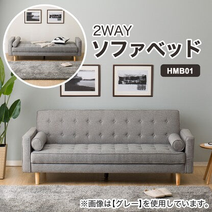 Cushioned sofa bed (HM01B DBR)