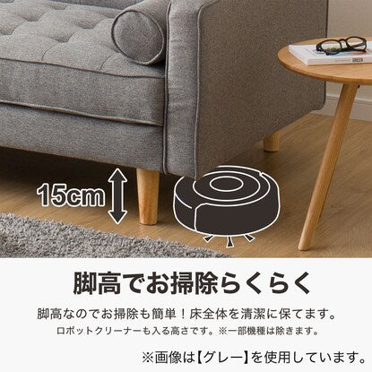 Cushioned sofa bed (HM01B DBR)