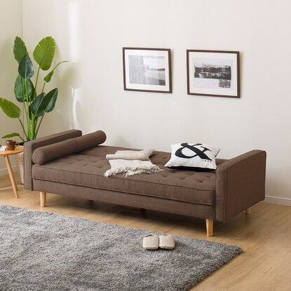 Cushioned sofa bed (HM01B DBR)