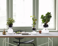 HOLME GAARD GAIA プラントグラス Holmegaard(ホルムガード) GAIA Plant Glass ガイアプラントグラス