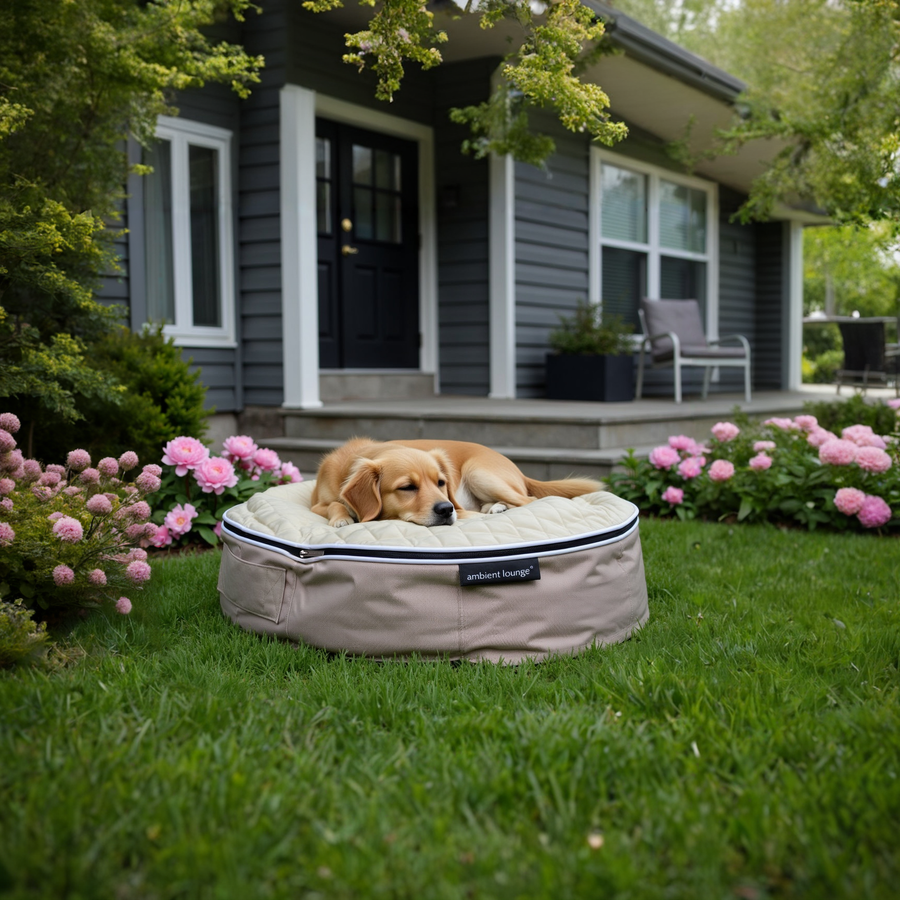 ambient lounge(アンビエントラウンジ) 犬ペットラウンジ ハイ XXL