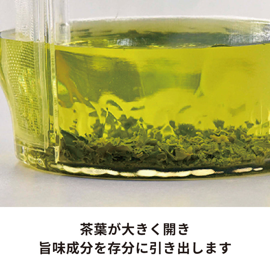 Filter-in Teapot Asanoha