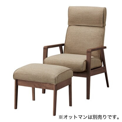 Personal chair body (Alnas DR-BE/MBR)