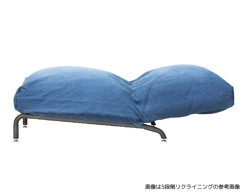 RODEZ SOFA 2P Damage DENIM ロデソファ 2シート ダメージデニム