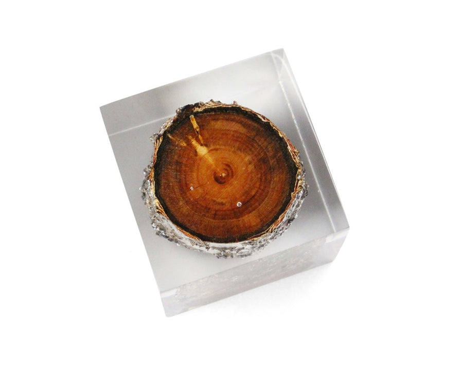 Resin With Wood Inside レジンウィズウッドインサイド